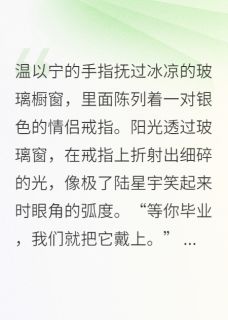 顾淮温以宁主角的小说完结版心跳的回音全集