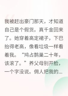 寒夜季晴假千金她靠摆烂攻略了反派小说完整版