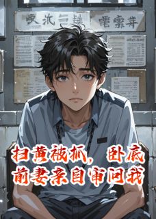 抖音扫黄被抓，卧底前妻亲自审问我txt小说阅读