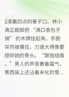 总裁的包子铺逃跑计划(全章节)-林小满陆承宇在线阅读