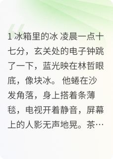 抖音爆款离婚后回老家遇到年少时的她完整小说（全文阅读）-暗夜阅读网