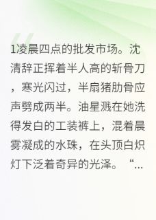 主人公沈清辞陆知衍在线免费试读总裁的五花肉驯养手册最新章节列表