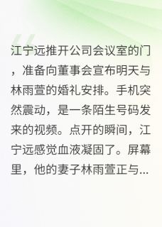 老婆出轨后，我娶了她的闺蜜小说(完结)-江宁远苏清雅张浩然章节阅读-暗夜阅读网