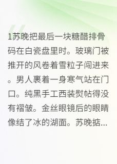总裁的糖醋排骨掉了小说(完本)-苏晚顾晏辰无错版阅读