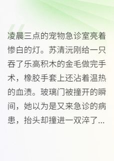 总裁的舌尖上沾了猫毛知乎后续免费试读