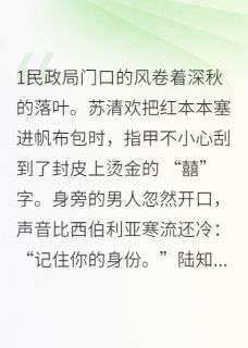 总裁的契约假妻是个黑莲花章节全目录 苏清欢陆知衍全文免费阅读-暗夜阅读网