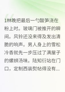 总裁的螺蛳粉在线全文阅读-主人公林晚陆知衍小说