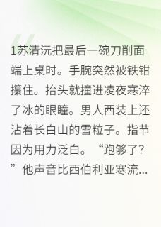 爆款小说总裁的刀削面有点甜主角苏清沅凌夜寒全文在线完本阅读