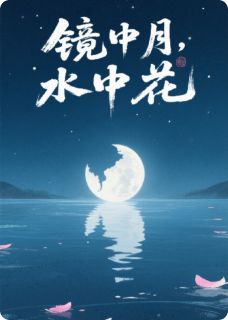 镜中月，水中花(沈聿苏晚陈嘉树)最新章节试读