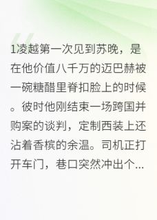 小说总裁的糖醋小逃妻主角为苏晚凌越免费阅读