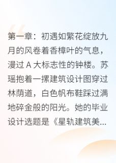老书虫书荒推荐星河坠，情殇难愈txt小说阅读