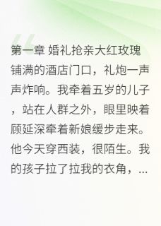 前夫结婚当天,我带着孩子去抢亲顾延深林雪by天不渡我免费看-暗夜阅读网