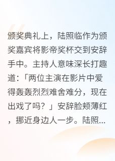 好书推荐我的隐婚老公爱上了一个男人陆照临安辞全文在线阅读
