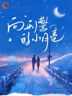 追缉爱情，你我早是命中注定无广告阅读 许月言向宇昊免费在线阅读