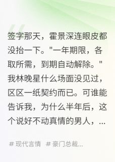 好书推荐顶流影帝竟是我的契约老公霍景深林晚星全文在线阅读