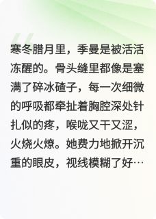 季曼聂桑榆主角抖音小说世子爷，您的追妻火葬场请签收在线阅读