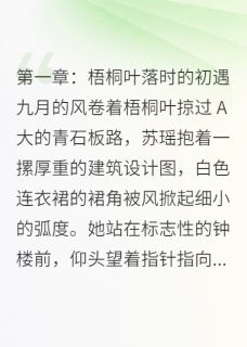 全网首发完整小说碎影里的余温主角苏瑶陆逸辰在线阅读