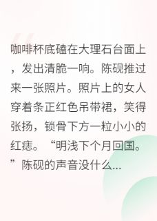 小说替身小姐：我的副业是股神主角为陈砚辰光科免费阅读