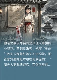 苏晚昭顾昭之周姨娘闪婚当天，把侯府账本甩夫人脸上全章节免费阅读-暗夜阅读网