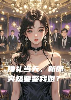 周泽顾雪沈宴全集小说_婚礼当天，新郎突然要娶我姐？完结版阅读