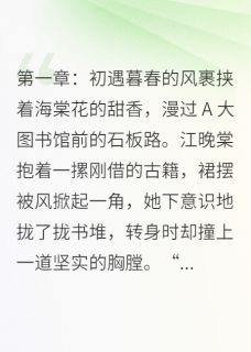 沈逸风江晚棠是什么小说免费版阅读抖音热文