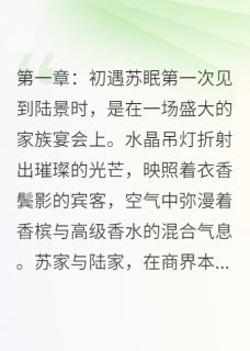 苏眠陆景小说海棠未眠，泪已干全文阅读