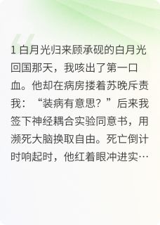 顾承砚沈微结局是什么 顾承砚沈微免费阅读全文-暗夜阅读网