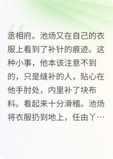 温柔乡？丫鬟她只想报复池炀田宁-小说未删减阅读