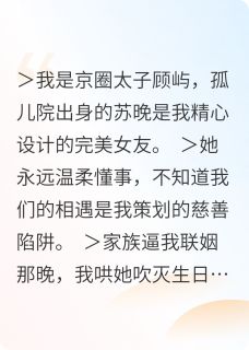 设计来的女友跑路了(顾屿苏晚)全文章节在线阅读