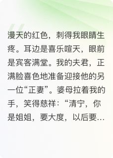 陆景渊刘如玥沈清宁完整版重生回夫君兼祧两房时，我杀疯了全文最新阅读