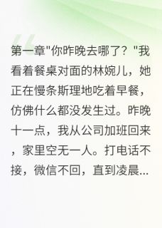 书荒推荐老婆装出轨三年半，我真离婚了(苏晴林婉儿)在线试读
