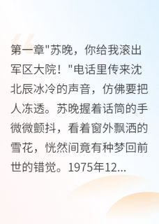 【新书】前世被冤枉出轨，重生我直接离婚主角苏晚沈北辰全文全章节小说阅读