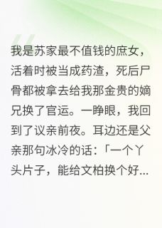 苏振业苏文柏绣坊是哪部小说的主角 苏振业苏文柏绣坊全文阅读