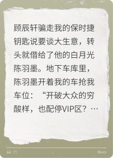 谁动了我的车by风吟绮念