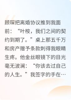 【离婚时发现他暗恋我十年】小说在线阅读-离婚时发现他暗恋我十年免费版目录阅读全文