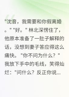 私藏读物首长老公求假离婚，我爽快答应林北深沈雨沈音完结版免费阅读
