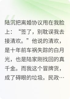 【新书】离婚当天，首富亲爹跪求我回家主角苏晚陆沉顾振华全文全章节小说阅读