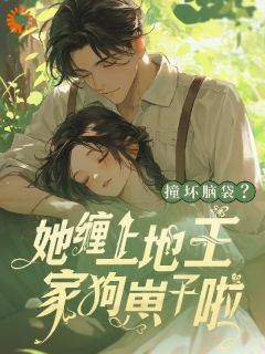 失忆后，我缠错人了怎么办司月月谢逍全本小说（失忆后，我缠错人了怎么办）全章节小说目录阅读-暗夜阅读网