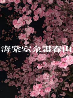 海棠空余尽春山是什么小说谢婉宁沈淮景全本免费阅读