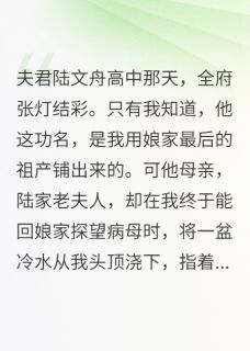 成婚三年，婆母指我肚子骂我荒田小说-陆文舟沈惊雀全篇阅读