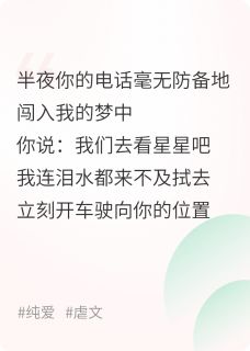 苏忱许星全章节阅读-星星坠落之时全文分享阅读
