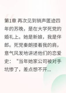 (精品)情路遥遥，不问归期小说
