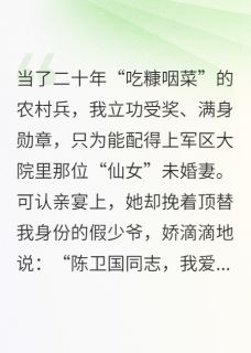 宋雅宁林辉李秀娟是哪本小说主角 顶替我二十年，该把未婚妻还我了免费全章节阅读