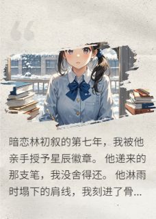 传统暗恋：一个霸总林初叙苏星星全章节完结版在线阅读