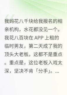 (抖音小说)湛清砚苏织锦小说全文阅读免费