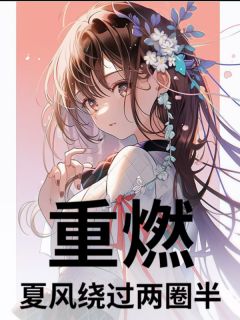 热门小说重燃：夏风绕过两圈半完整版全文阅读