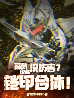 主角林凡李雪柔小说完整版-高武：说我没伤害？铠甲合体！免费阅读全文-暗夜阅读网
