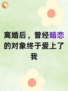 柳知夏韩青阳离婚后，曾经暗恋的对象终于爱上小说完整版-暗夜阅读网