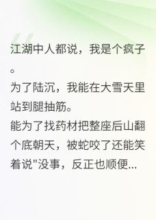 私藏读物不小心撩了个魔教大佬后夜寒陆沉完结版免费阅读-暗夜阅读网