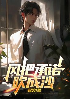 风把承诺吹成沙免费阅读全文,主角苏晚念念江哲小说完整版